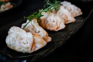 Gyoza (Chicken & Vegetable)