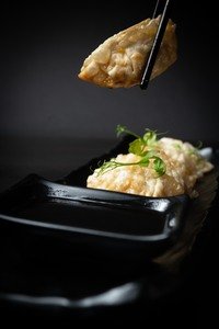 Gyoza